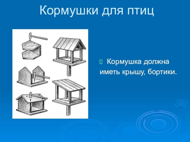 Творческий проект кормушка. Проект кормушка для птиц. кормушка для птиц технология. план изготовления кормушки. проект по технологии кормушка для птиц.