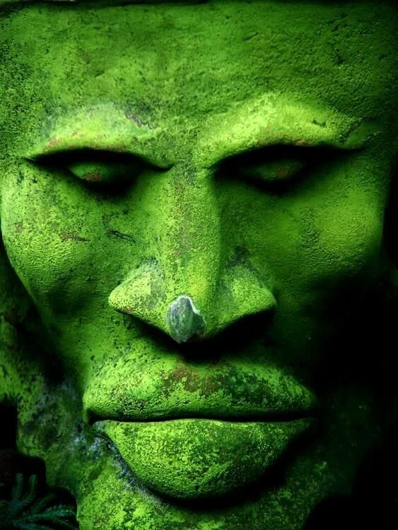 Зеленый человек это какой. Зеленый человек. Зеленые человечки. Зеленое лицо. Зелёное лицо у человека.