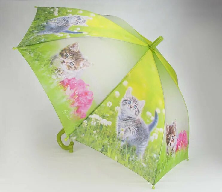Зонт с котятами. Котенок с зонтиком. Зонт детский с котиками. Зонт детский с котятами. Котики зонтики