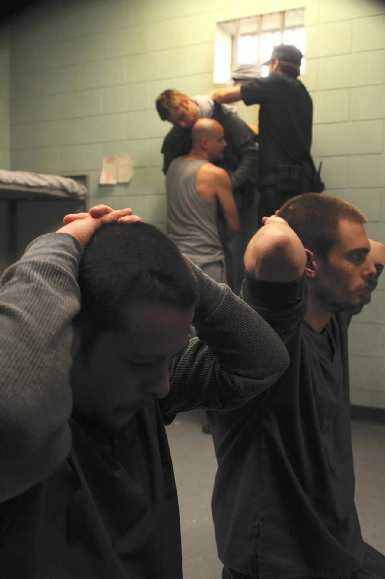 стоик: выжить любой ценой 2009. стоик выжить любой. выжить любой ценой dvd. стоик выжить любой ценой stoic 2009. стоик выжить любой ценой.