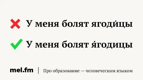 Ягодицы ударение