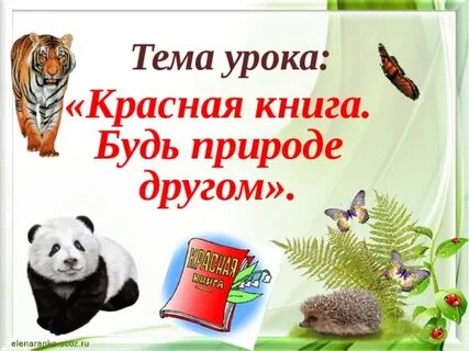 Урок красная книга 4 класс