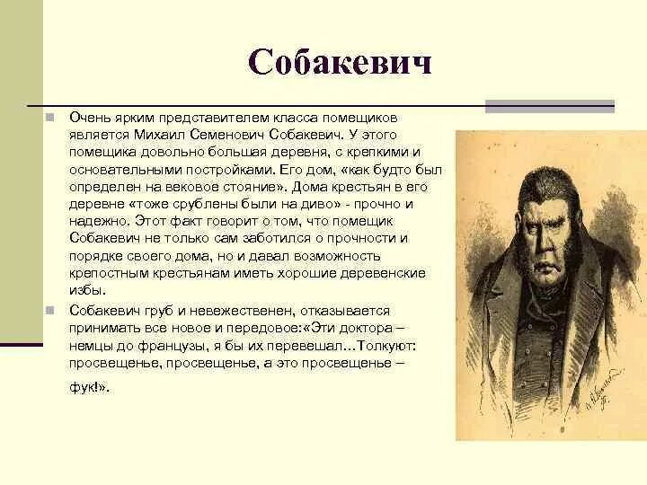 Значение имени собакевича. Мёртвые души фамилия Собакевича. Смысл фамилии Собакевич в мертвых душах. Собакевич в поэме мертвые души. Собакевич говорящая фамилия мертвые души.