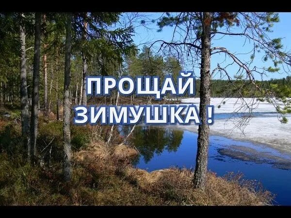 Зимушка зима надпись красивая. Конкурс прощай зимушка зима. Прощай зима на проводы зимы. Конкурс прощай зимушка зима. Конкурс прощай зимушка зима.