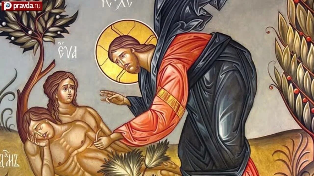 первородный грех летняя школа