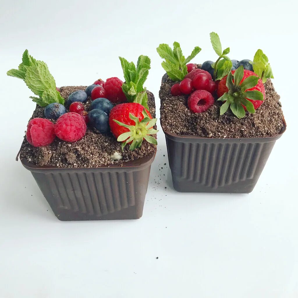 десерт в горшочке из шоколада. торт цветок в горшке. шоколадные горшочки. цветок в шоколадном горшочке. шоколадные горшочки.