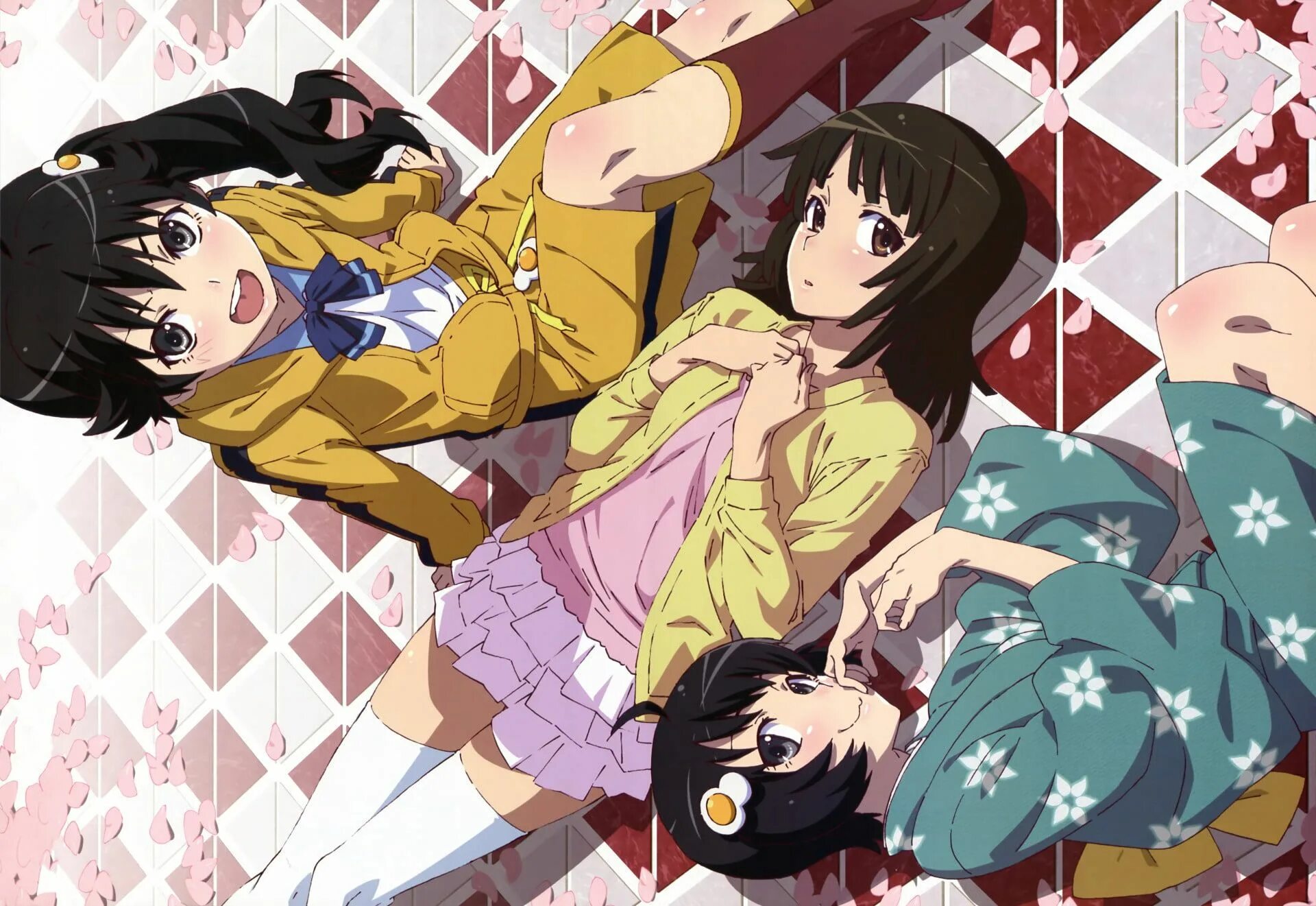 Monogatari raw. Monogatari цукихи арараги. nisemonogatari арараги. nisemonogatari карэн арараги.