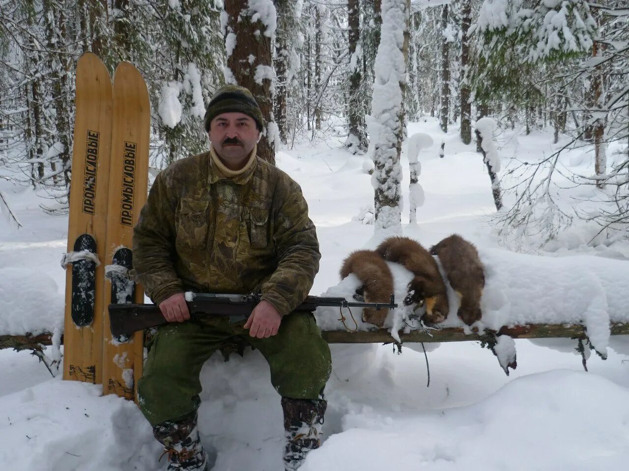 Пушной промысел,охота на соболя. Сибирский промысел в тайге охотники промысловики. Хант зверолов. Охотники Якутии промысловики. Добыча куницы