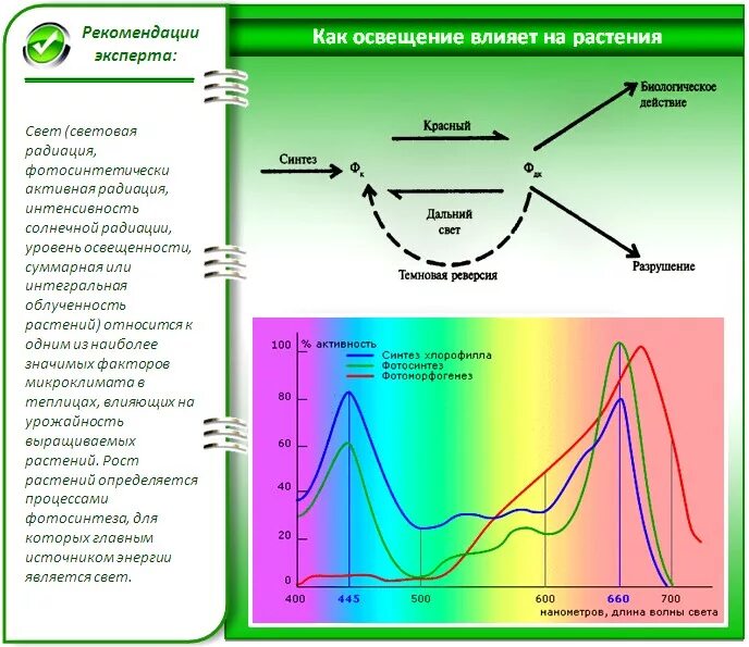 Спектр солнечного излучения для фотосинтеза. Спектр света для фотосинтеза растений. Световые спектры для растений. Световой спектр для растений таблица.
