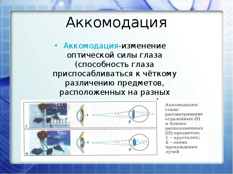 Силой аккомодации. Изменение оптической силы глаза. Аккомодация глаза физика. Аккомодация глаза схема. Адаптация и аккомодация глаза.