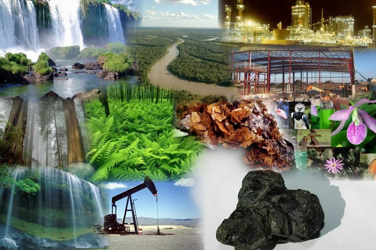 Использование возобновляемых природных ресурсов. Природные ресурсы. Ресурсы земли. Ресурсы природы. Природные ресурсы земли.
