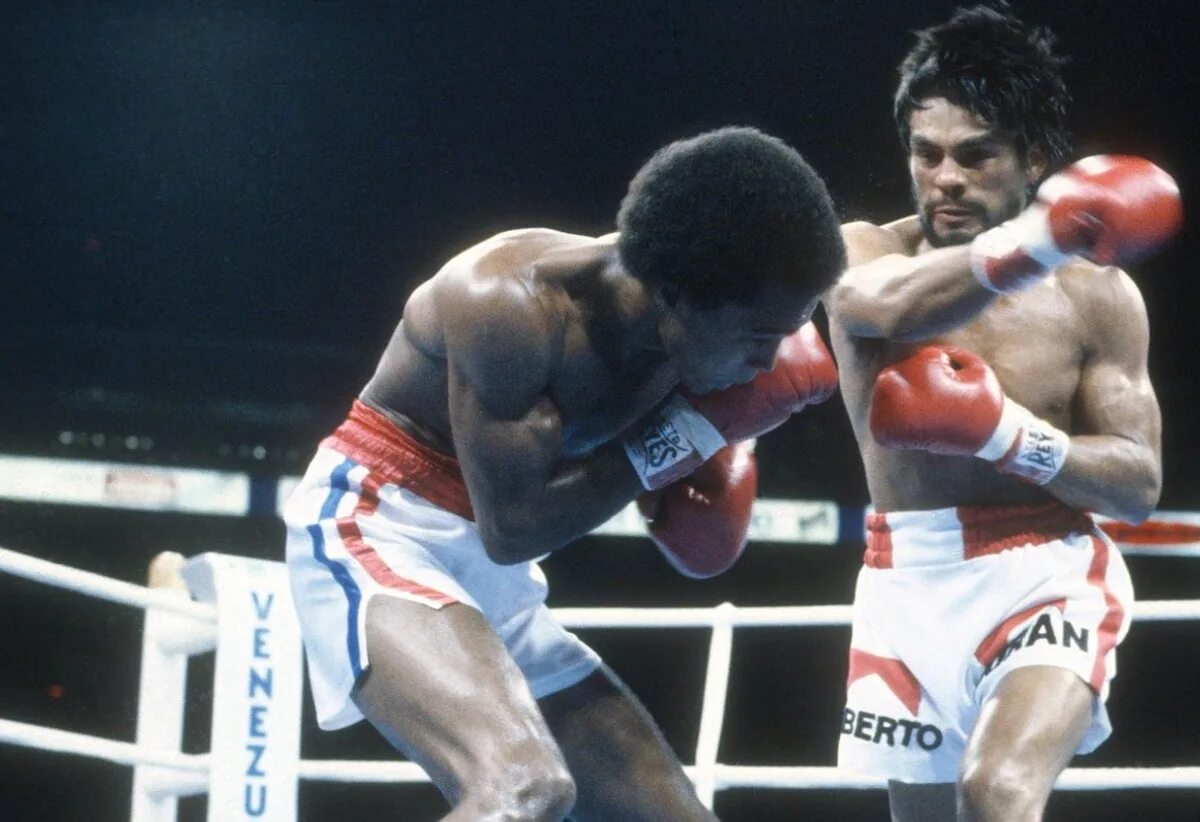 Леонардо бой. Саша ринг. Роберто дюран 2020. Леонардо ногейра. Леонардо боец.