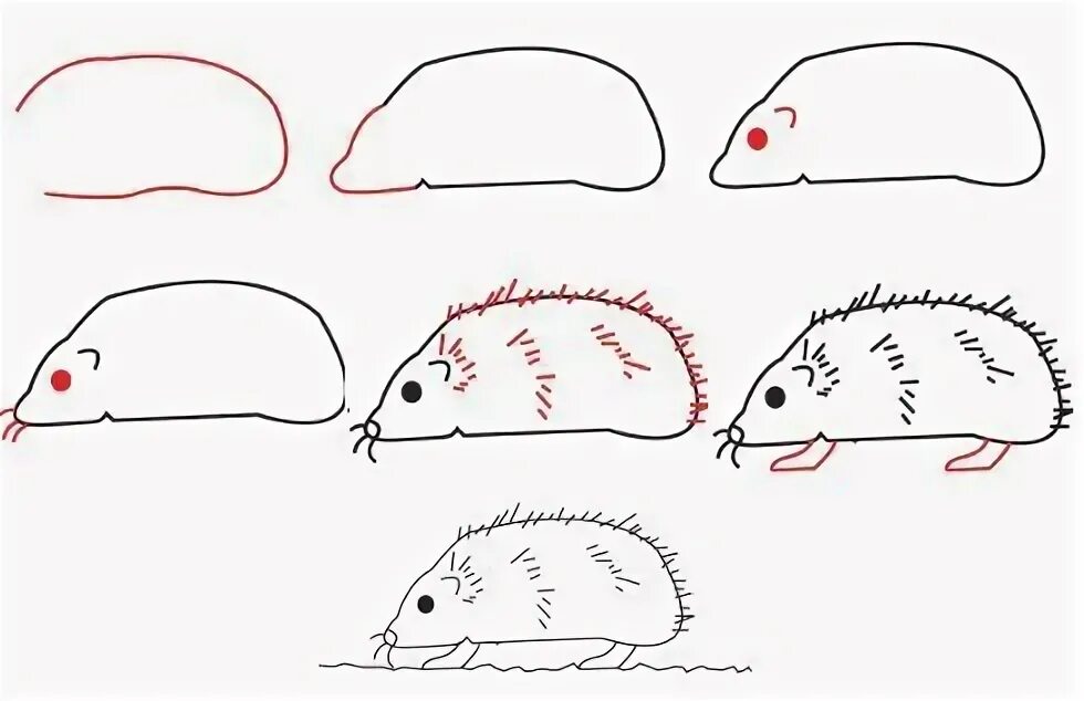 Как нарисовать ежика карандашом поэтапно для детей. Поэтапное рисование ежа. этапы рисования ёжика. ежик поэтапное рисование для детей. пошаговое рисование ежика.