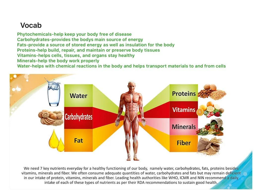 Protein minerals vitamins. Carb Protein fats. Proteins fats carbohydrates. Vitamin Mineral Protein. Картинка Proteins fats carbohydrates Vitamins.