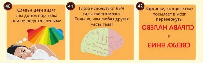 Интересные факты о глазах. Интересные факты о глазах. Интересные факты о глазах человека. Интересные факты о зрении человека. Интересные факты о глазах человека.