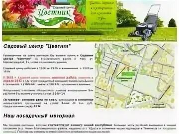 Питомник цветы башкирии. Цветы башкирии садовый центр. цветы башкирии питомник.
