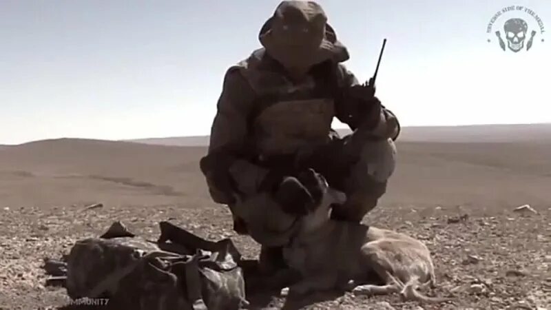 И арбалеты ща вагнера подъедут. Пальмира война чвк вагнера. клип чвк вагнера арбалеты. снайпер чвк вагнера.