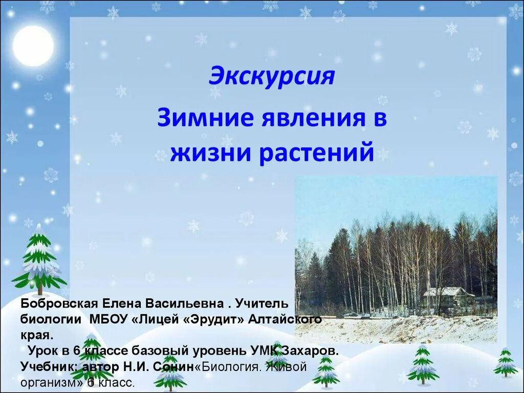 Зима изменения в жизни растений биология. Сезонные явления в жизни растений зимой. Зимние явления в жизни растений. Экскурсия зимние явления в жизни растений 6 класс биология. Зимние явления в жизни растений 6 класс.