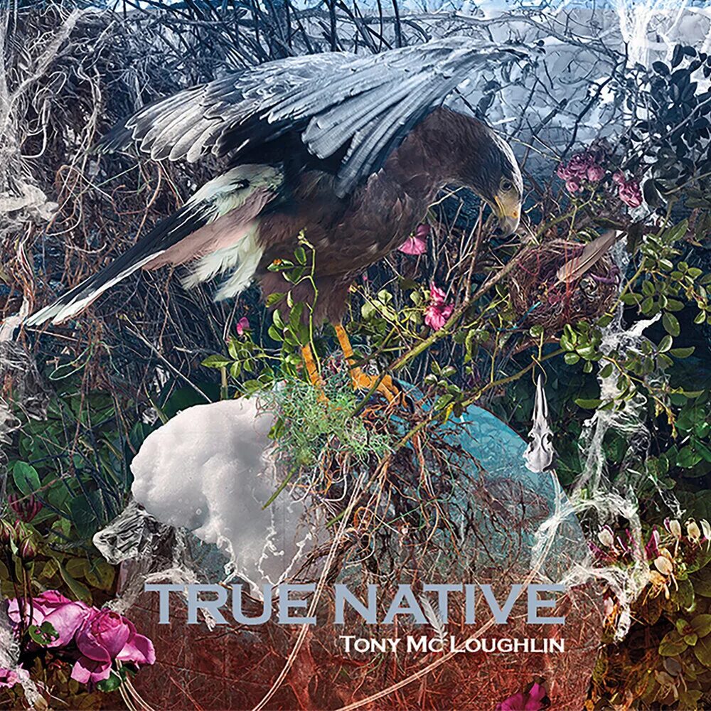 Native 2019