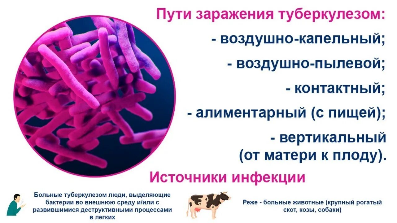 Где можно заразиться туберкулезом. Пути заражения туберкулезом. основной путь инфицирования туберкулезом. туберкулёз способы заражения.