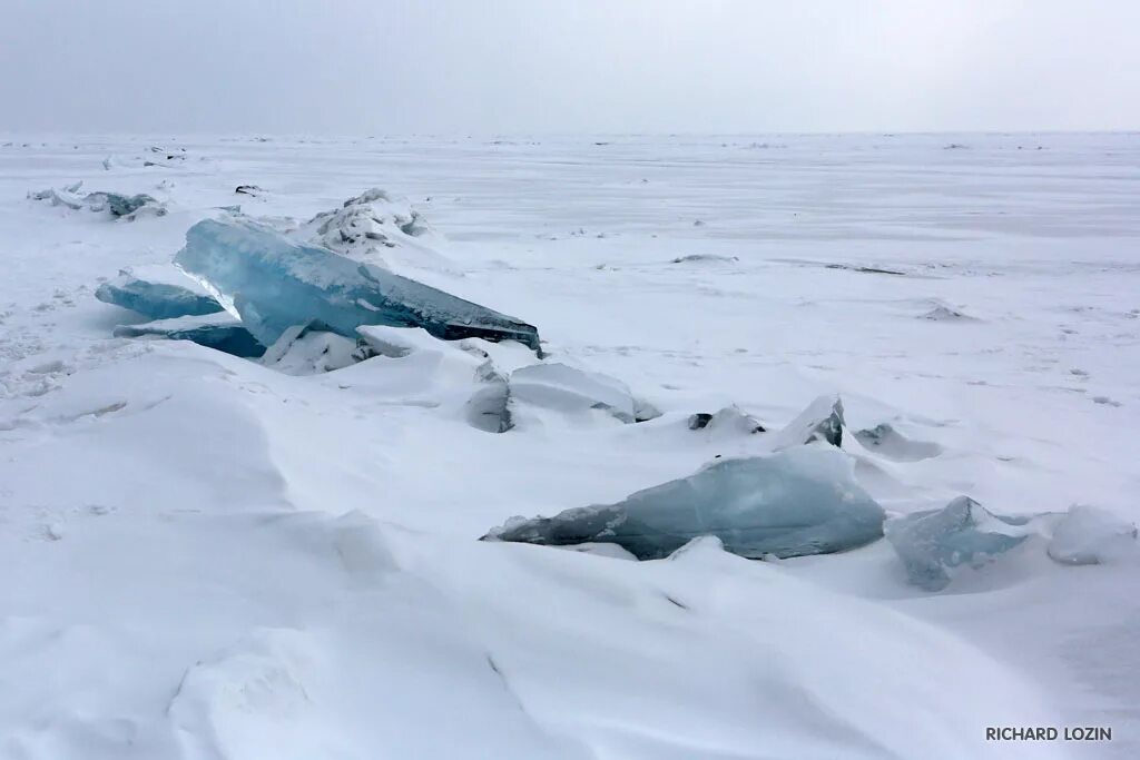 Байкал подо льдом. Замерзшее озеро байкал. Байкальский из подо льда. Озеро байкал зимой подо льдом. Замерзший байкал.