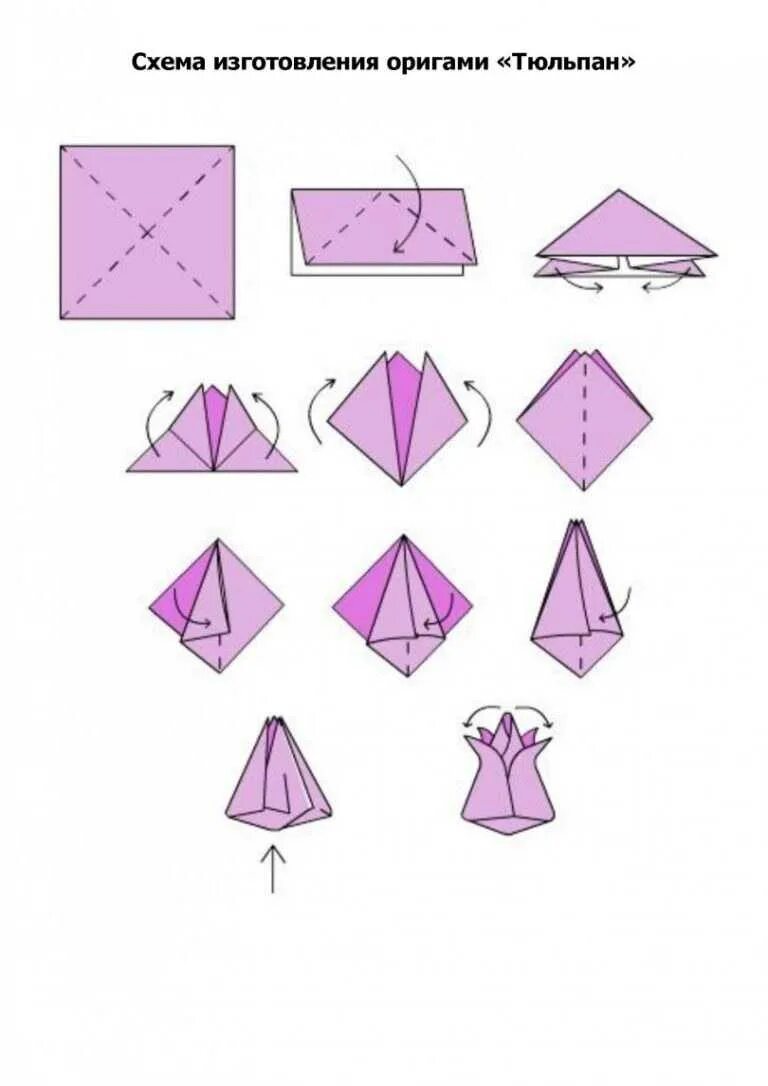 Оригами цветок из бумаги схема для начинающих тюльпан.
