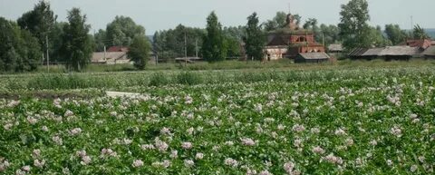 Погода большой колояр пензенская область