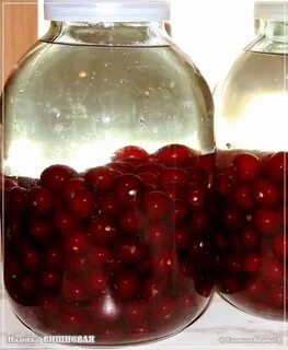 Рецепты наливки из вишни с косточкой