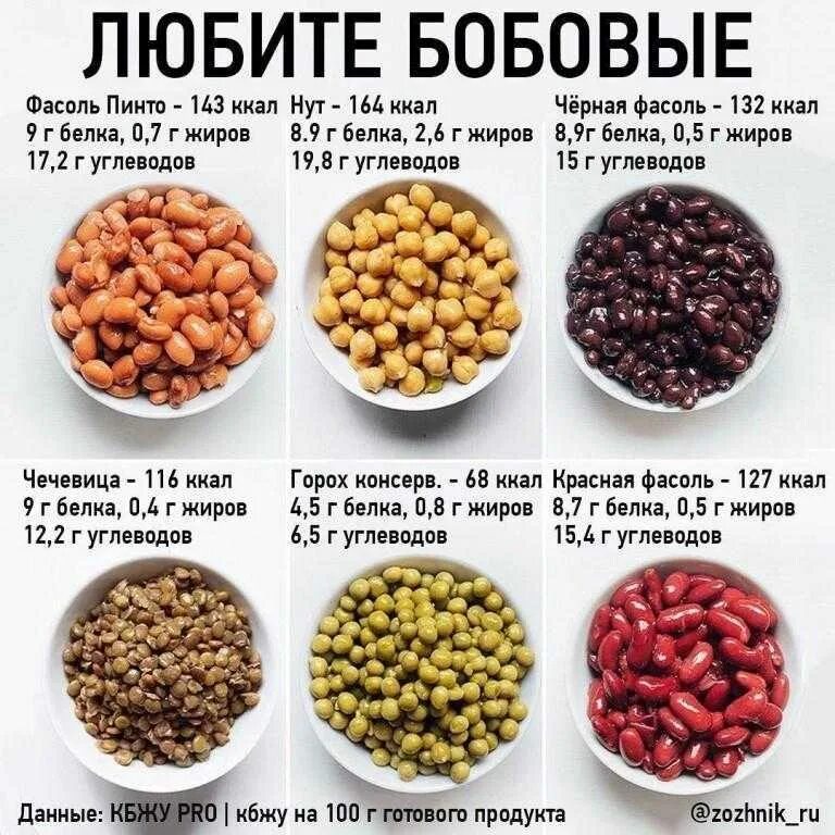 В какой каше больше белка. Бобовые продукты. Сколько белка в бобовых. Количествобнлеа в фасоди. Полезные вещества круп и бобовых.