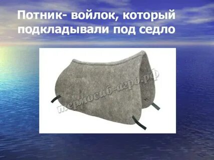 Потник это