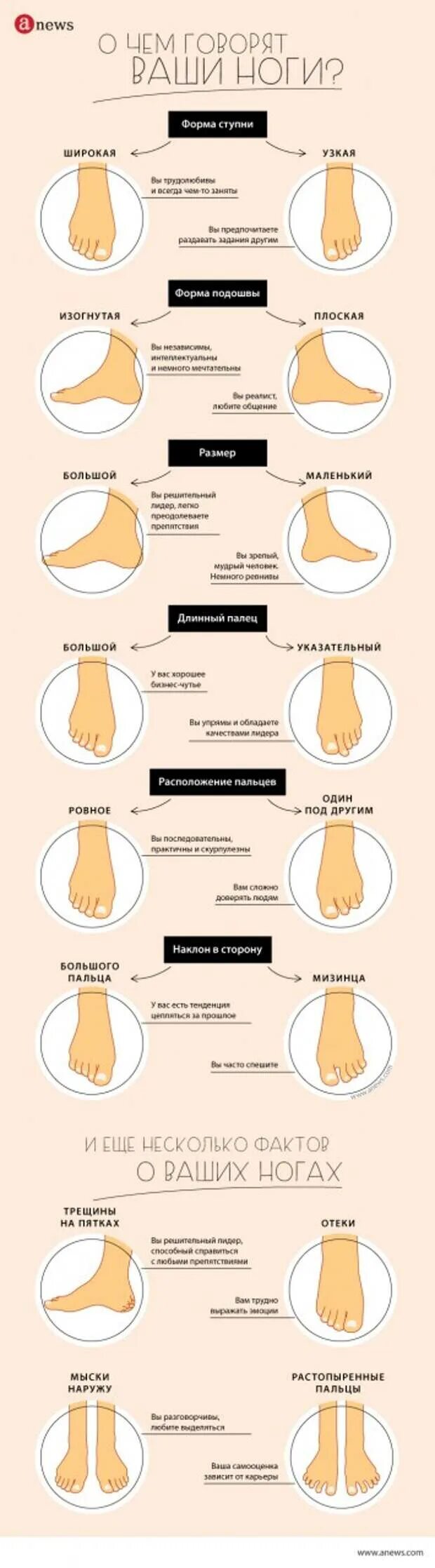О чем говорят ноги женщины. Форма стопы. Характер по форме пальцев ног. Форма пальцев на ногах о чем говорит. Форма ноги и характер человека.