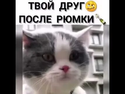После 10 апреля