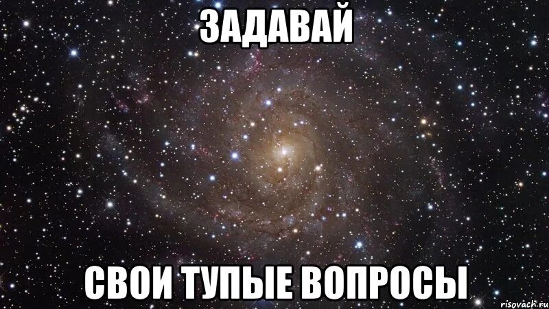 Куда глупо