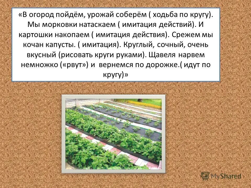 Пошел урожай. В огород пойдем. В огород пойдем урожай соберем физминутка. Презентация в огород пойдём - урожай соберем. Стих в огород пойдем урожай.