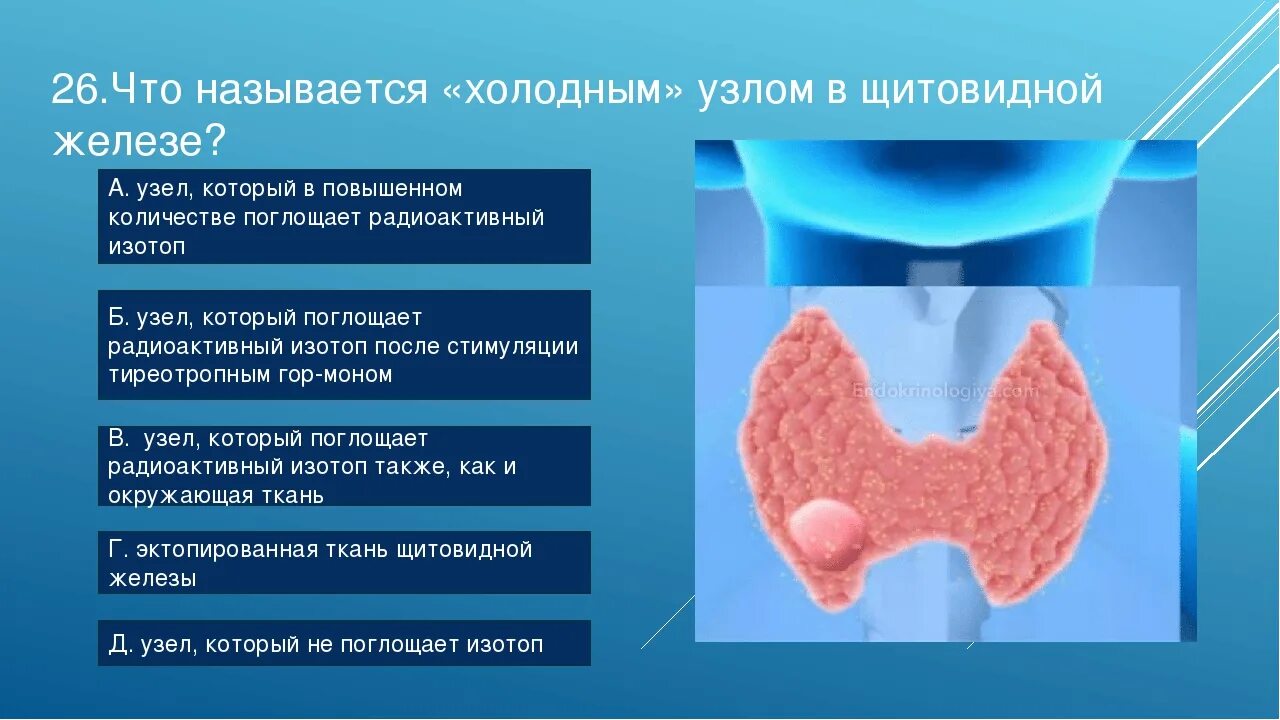 Узлы в щитовидной железе. Узлы на щитовидной железе железа.