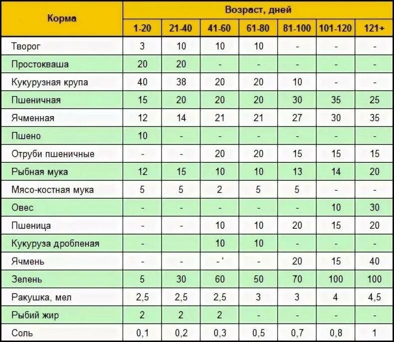 Творог цыплятам с какого возраста можно. Рацион кормления для бройлерных индюков с 2 месяцев. Таблица корма для индюков. Рацион индюшат в 2 месяца. Суточный рацион питания индюков.