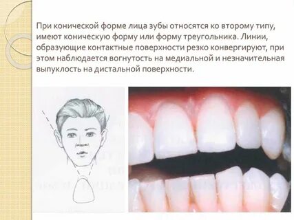 От чего зависит зубы