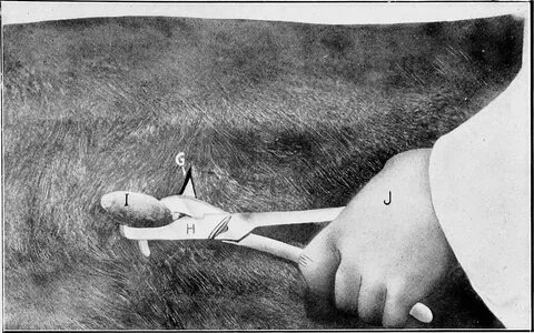 Yalangoch xotinlar uy qurilishi korish