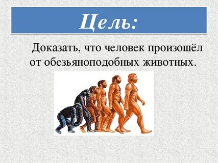 2018 года происхождение