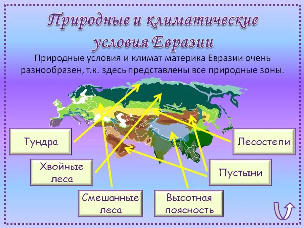 Природные зоны материка Евразия. Природные зоны Евразии 4. Природные условия е Азии. Природные зоны евраззи. Какая природная зона преобладает в евразии