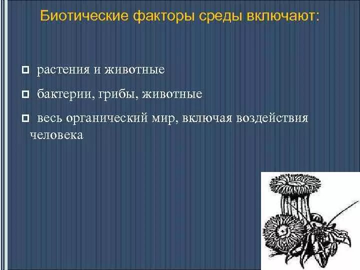 Тест биотические факторы среды. Биотические факторы. Биотические факторы среды. Биотические факторы растений. Грибы биотический фактор.