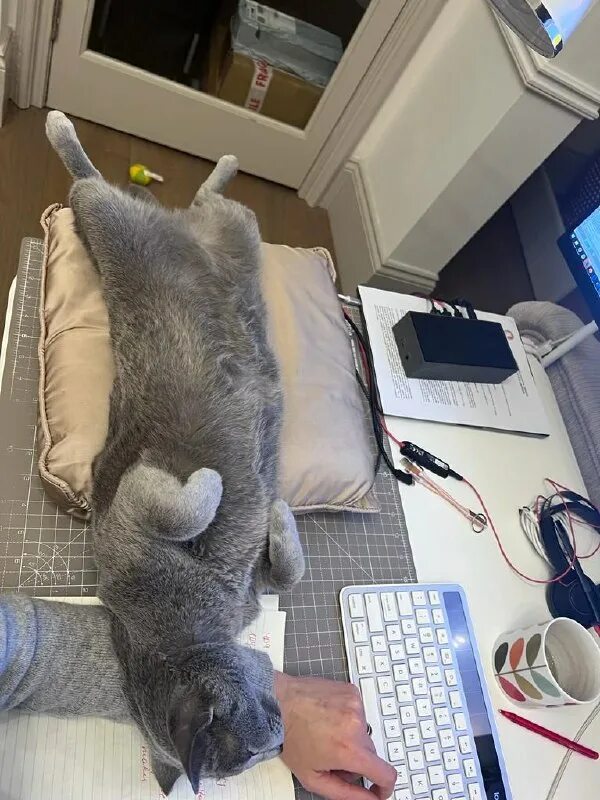 иду на работу приколы. ложимся спать. доброе раннее утро приколы. прихожу с работы и ложусь спать. я пришла с работы.