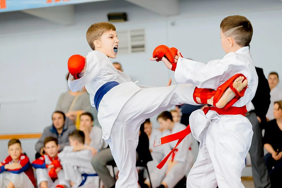 Какие есть секции. Спортивные кружки. Спортивные секции. Спортивные секции для детей. Спортивный кружок для детей.
