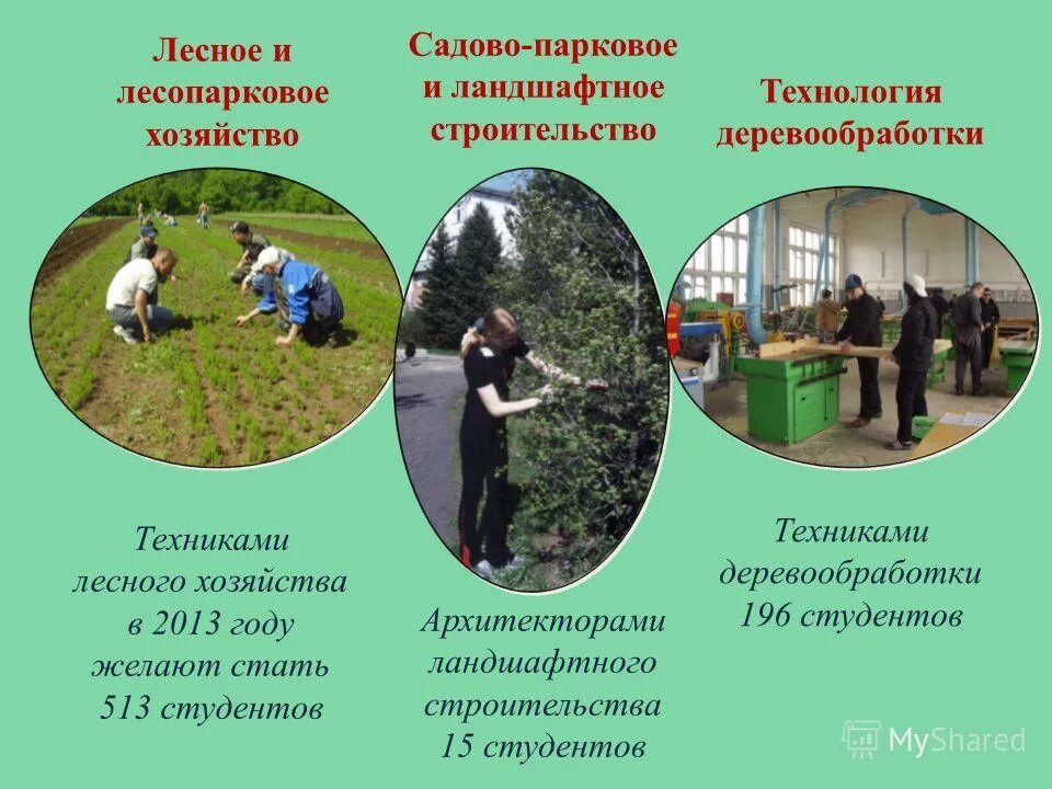 колледж лесного комплекса и садово паркового. лесотехнический университет санкт-петербург колледж. лесное и лесопарковое хозяйство презентация. лубянский лесотехнический колледж казань. лесотехнический университет кирова.