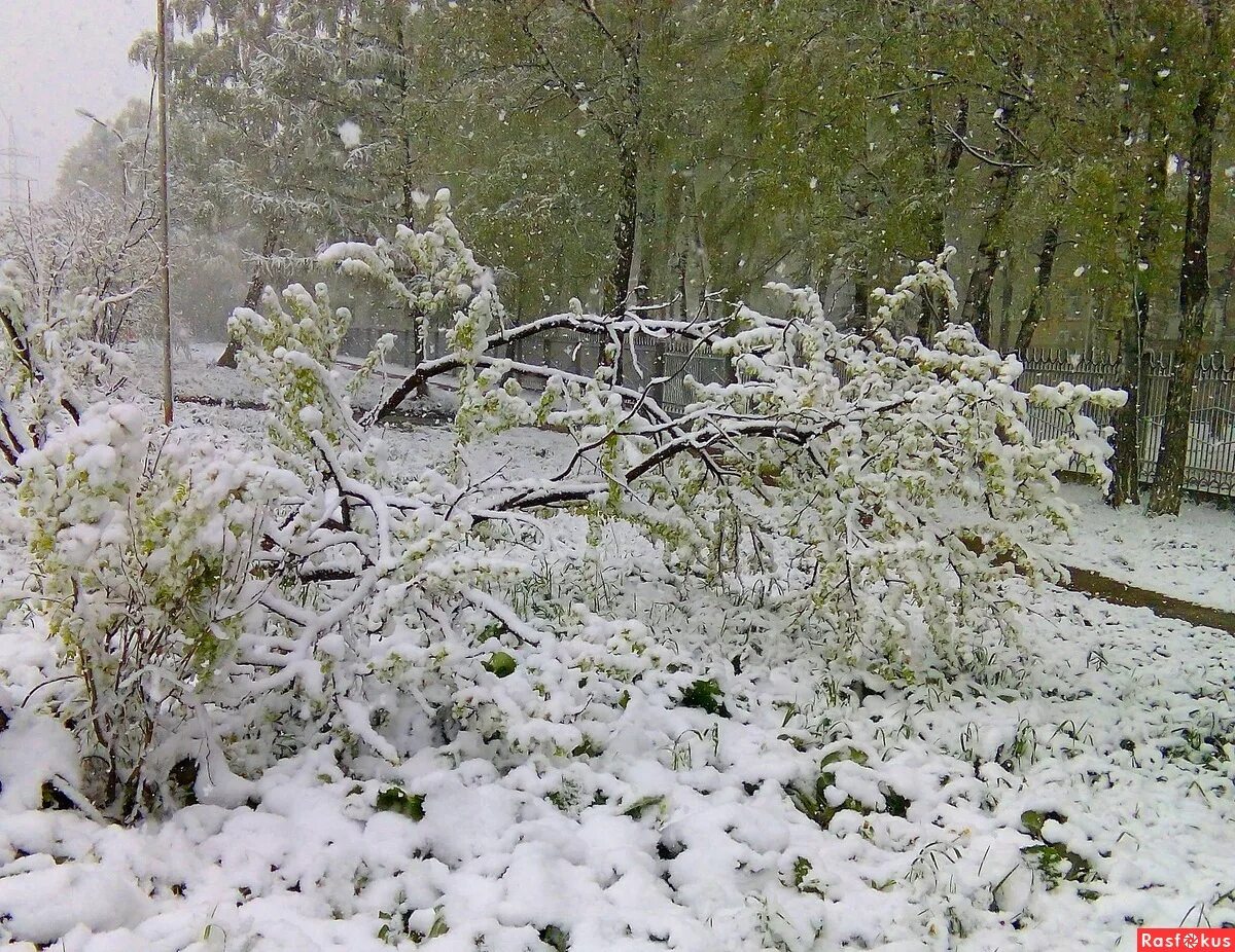 Следующий снегопад