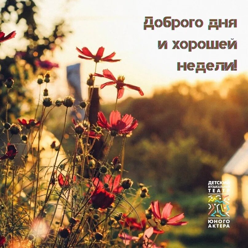 Вспоминая конец лета - 20 фото