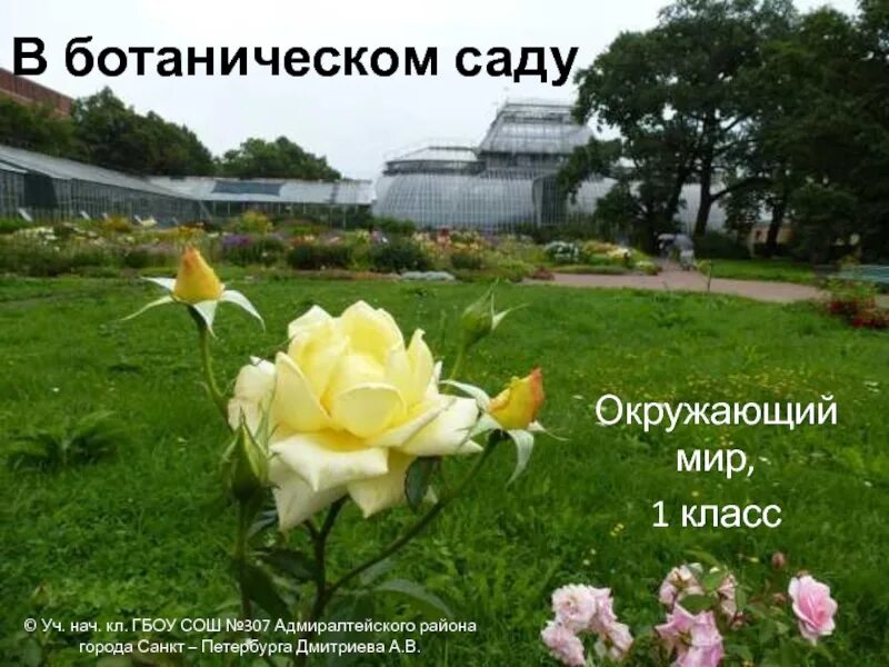 В ботаническом саду 1 класс. Ботанический сад петра великого в санкт-петербурге. ботанический сад окружающий мир 3 класс. ботанический сад окружающий мир 1 класс. ботанический сад розы.