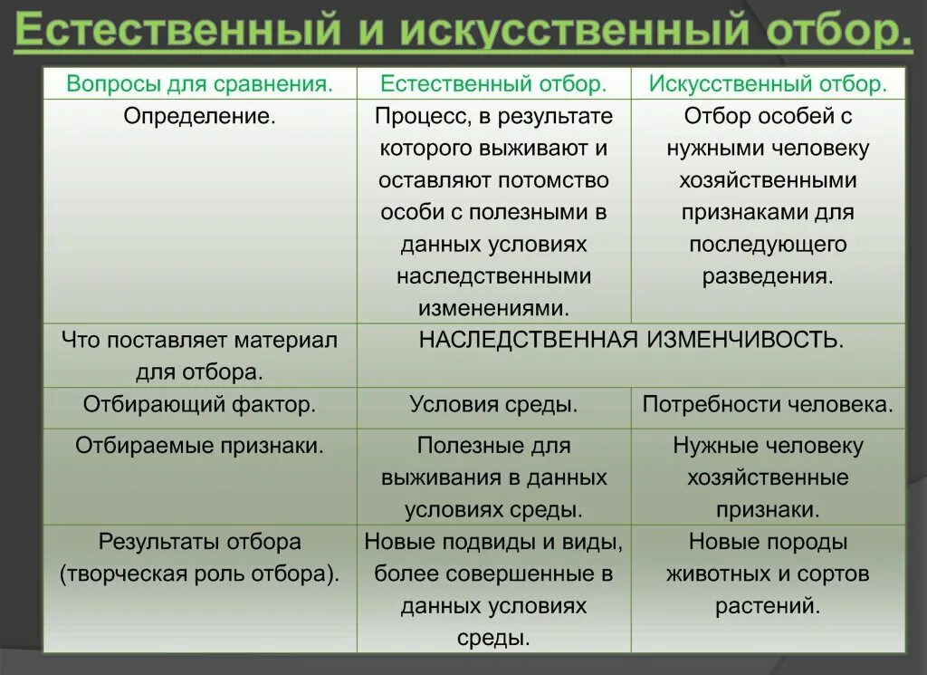 Материал для отбора представляет. Искусственный отбор и естественный отбор таблица. таблица признаки искусственный отбор естественный отбор. сравнительная таблица естественного и искусственного отбора 9 класс. сравнение искусственного и естественного отбора таблица.