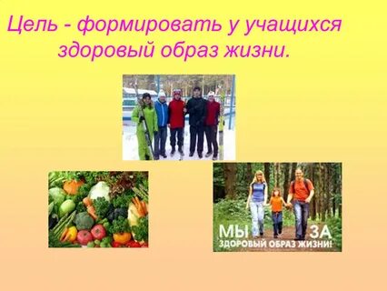 Образ жизни учащихся