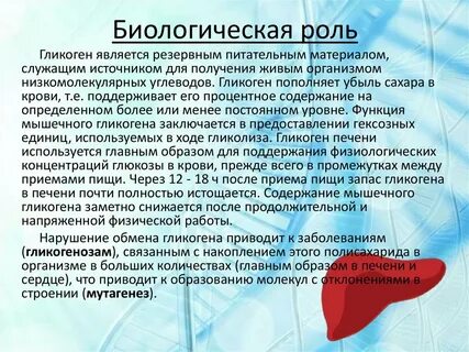 Печень запасает углеводы